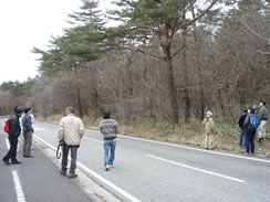 架設地の視察風景