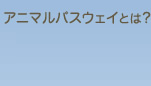 アニマルパスウェイとは?